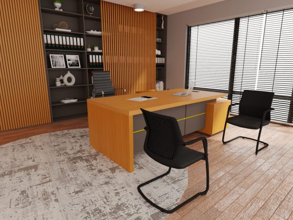 Executive Desk 1