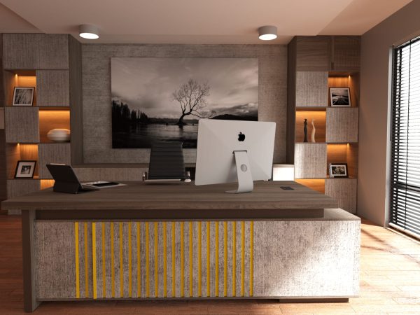 Executive Desk 5