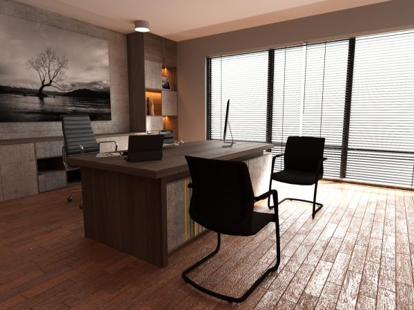 Executive Desk 5